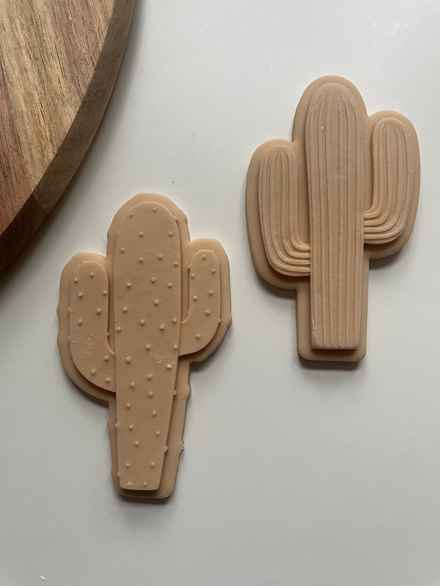 Cactus debosser Embosser and cutter for fondant and biscuits 